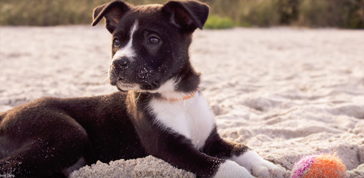 Taizhou Wanou Technology CO.,Limited founded in 2014.We are Manufacture in china .Which have 4 years of experience.Our main Products included Injection Mold .